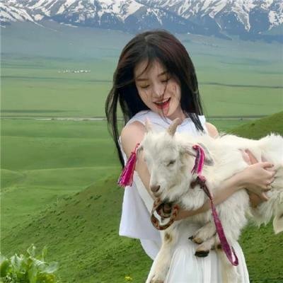 总理：先驱